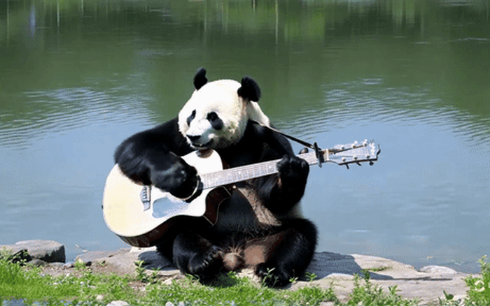 Trào lưu AI bùng nổ: Từ phim 'dở' gây sốt đến chỉnh ảnh 'ảo diệu' trên điện thoại