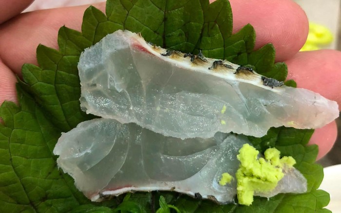Một loại cá rẻ bèo bán đầy chợ Việt Nam, dinh dưỡng vượt cá hồi, được người Nhật tăng mua để làm sashimi