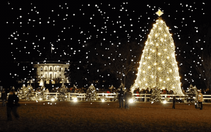 Bạn đã sẵn sàng cho một mùa Giáng Sinh đầy ấm áp và niềm vui chưa? Cùng đón xem các hình ảnh gif Noel chứa đầy lời chúc tốt đẹp và những điều may mắn sẽ đến với các bạn trong mùa này.